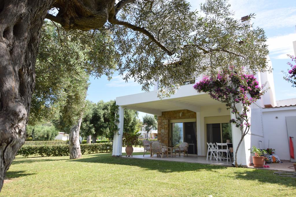 Villa Anemi Nea Skioni Extérieur photo